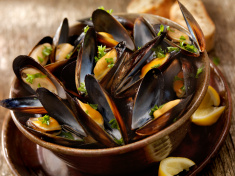 Mussels