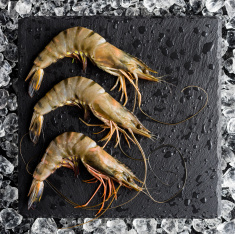 Jumbo Prawns